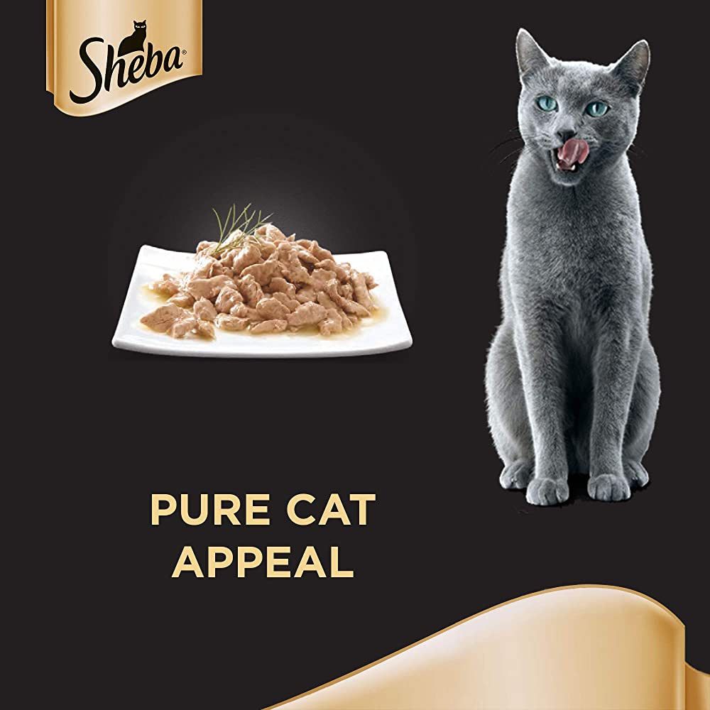 Best selling clearance cat food